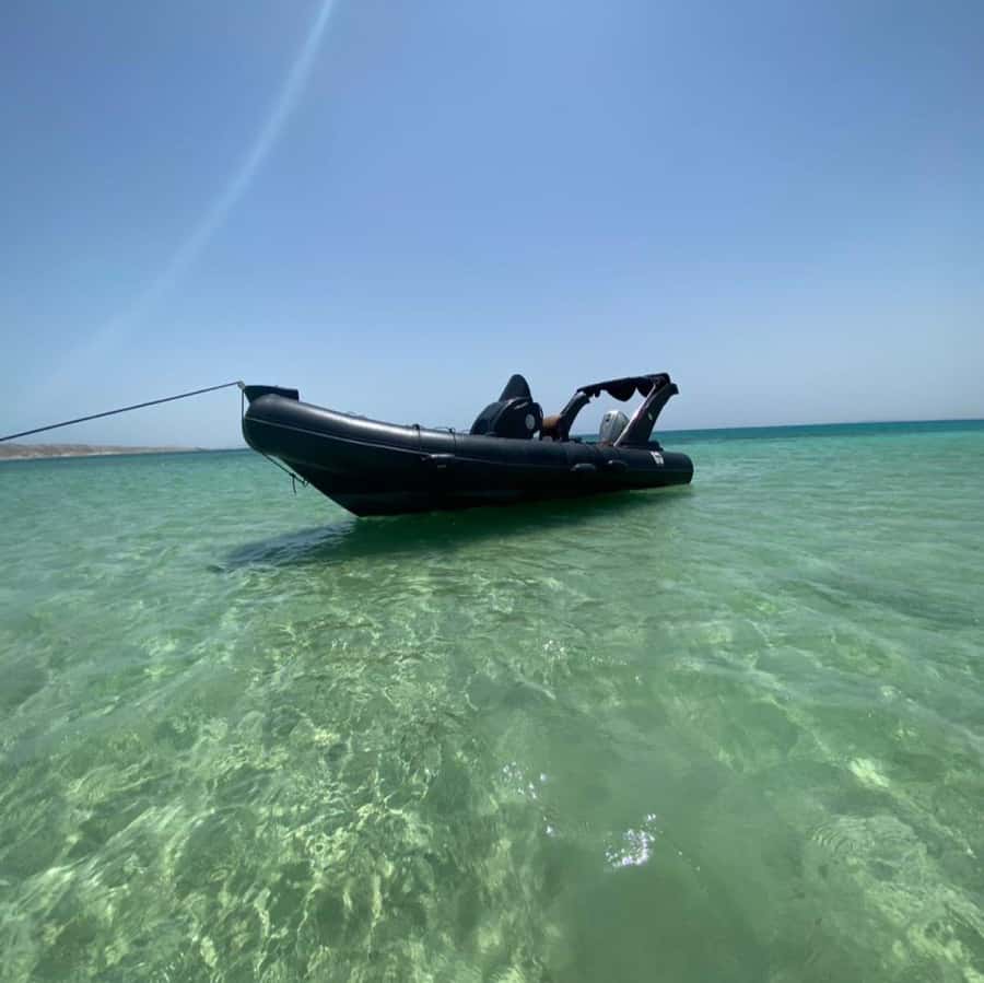 Hurghada: Private Dinner and Sunset Yacht Cruise - Who should book this evening?
