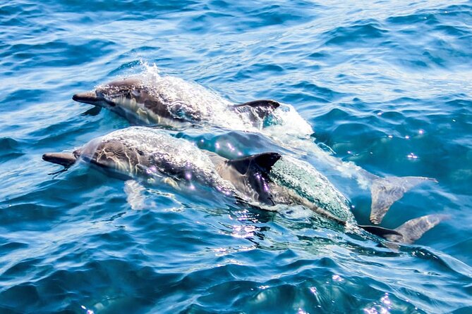 Ierapetra Chrissi Island Luxury Yacht Cruise with Meal - Booking, cancellation, and practical planning