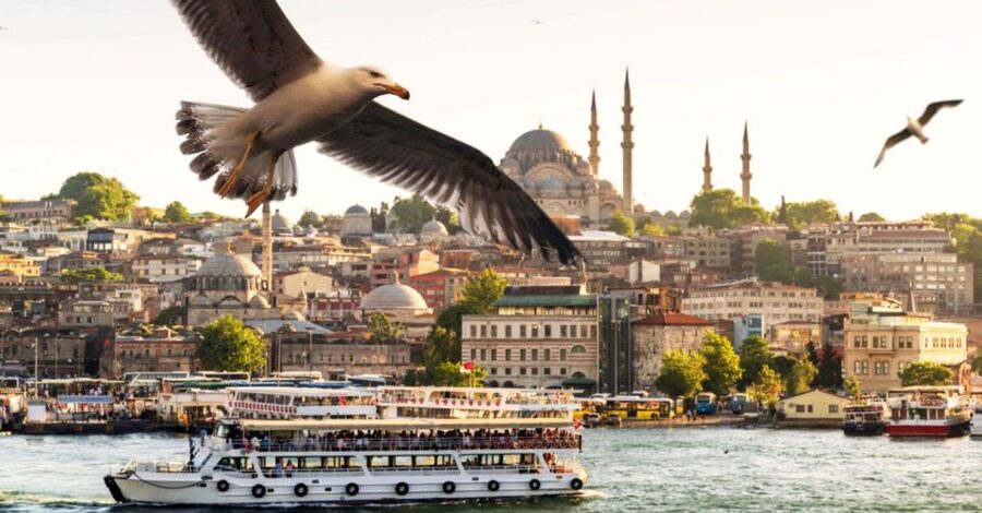 Istanbul: Private Bosphorus Cruise By Luxury Yacht - Food, drinks, Wi-Fi, and onboard comfort