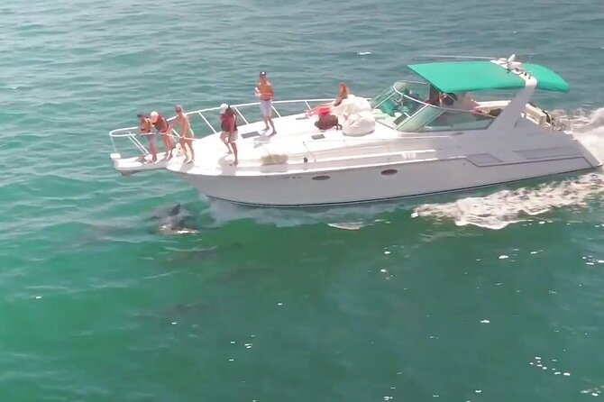 LA: Birthday Special Private Yacht (1 ticket covers 1-6 people) - Cruising beside the beach