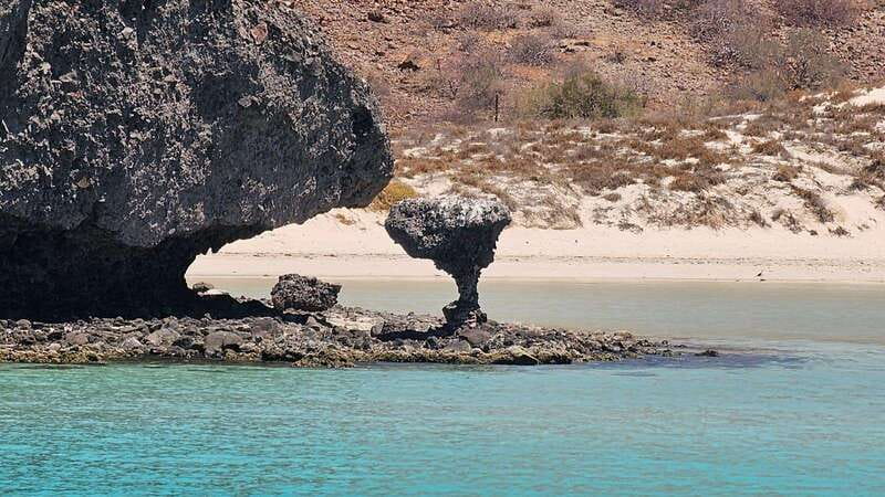 La Paz: Balandra Beach Luxury Yacht Charter Cruise - Key points at a glance