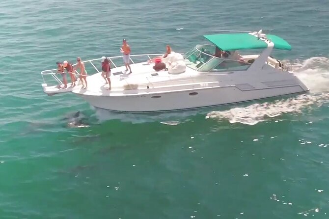 LA: Yacht Private Trip -1 hour (1 ticket covers 1-6 ppl - A private yacht, not a standard harbor tour