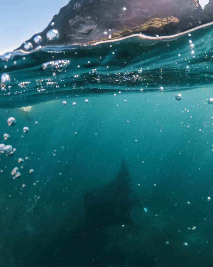 Labuan Bajo: Private Yacht Komodo Islands & Manta Snorkel - Taka Makassar, a sandbar in open water