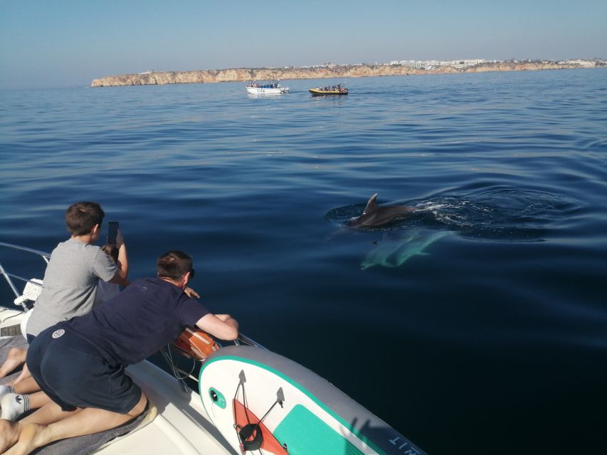 Lagos: Luxury Yacht Charter with Drinks & Tapas - Seeing Ponta da Piedade from the sea