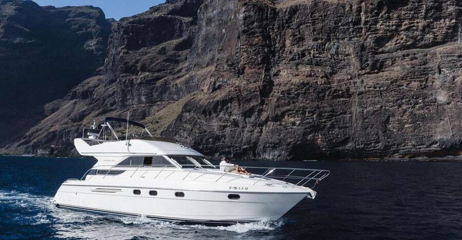 Las Galletas: Private Luxury Yacht Cruise with Lunch - Searching for whales and dolphins offshore