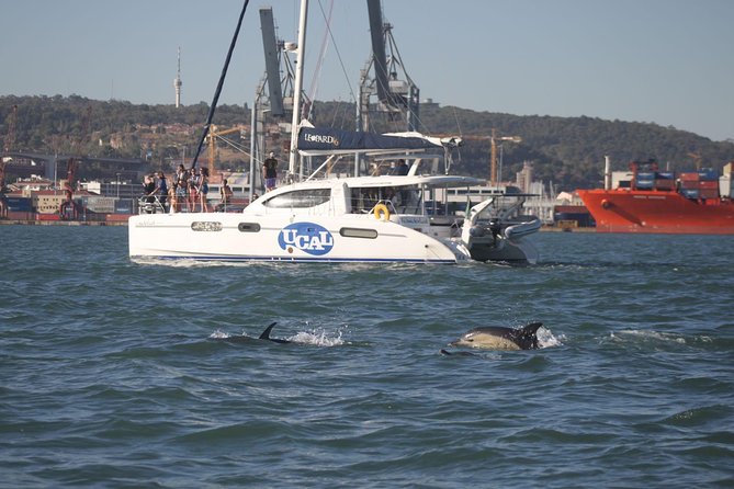 Lisbon: Sunset Cruise With Drinks on Spacious Yacht - Safety, weather, and what to wear