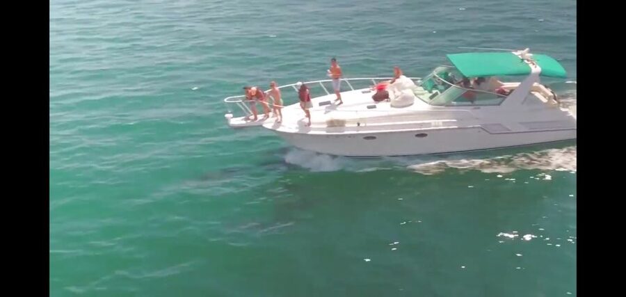 Long Beach: 2-Hour Private Group Yacht Cruise - Leaving Rainbow Harbor at 200 Aquarium Way
