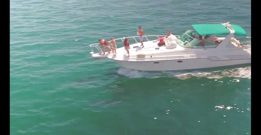 Long Beach: 2-Hour Private Group Yacht Cruise - Port Views, Long Beach Light, and Sea Life
