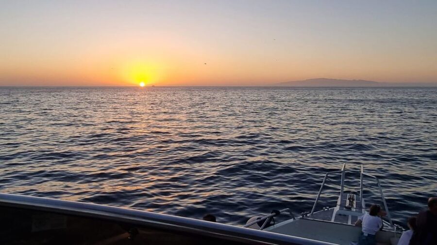 Los Cristianos: Eco Yacht Whale Watching Tour at Sunset - Is $17 good value?