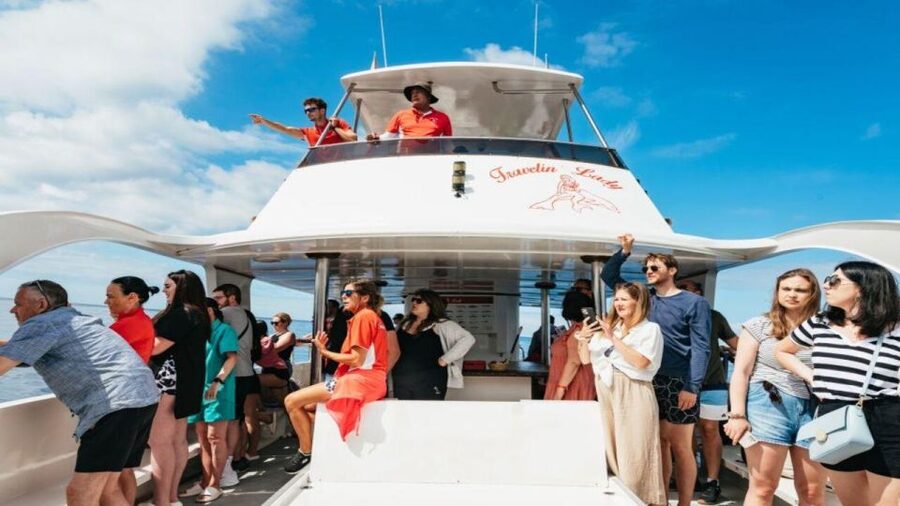 Los Cristianos: Eco Yacht Whale Watching Tour at Sunset - What this sunset cruise is really like