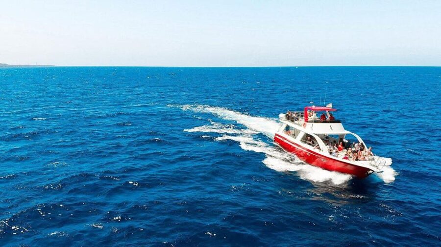 Los Cristianos: Eco Yacht Whale Watching Tour at Sunset - A boat designed around wildlife and comfort