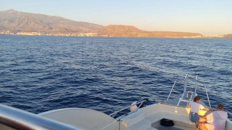 Los Cristianos: Eco Yacht Whale Watching Tour at Sunset - Looking for dolphins and pilot whales