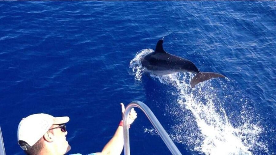 Los Cristianos: Eco Yacht Whale Watching Tour at Sunset - The sunset over Tenerife and Mount Teide