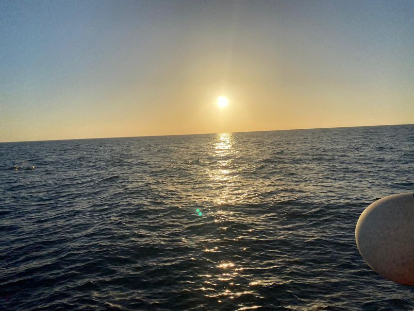 Los Cristianos: Eco Yacht Whale Watching Tour at Sunset - Seasickness, clothing, and family comfort