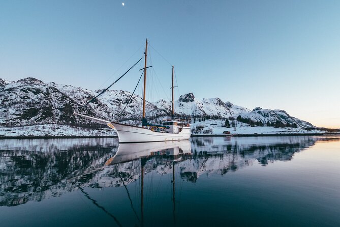 Luxury Northern Lights Yacht Cruise with Hot Tub from Tromsø - Reindeer soup, warm drinks, and a proper cabin