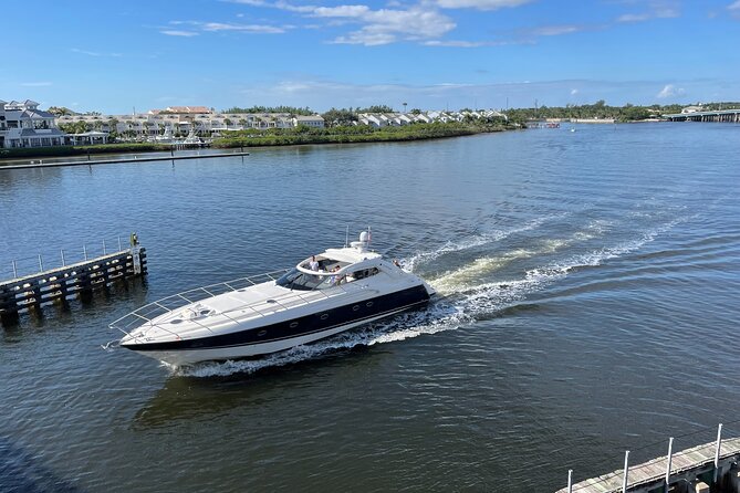 Luxury Yacht 65' Sunseeker 4 hours from Palm Beach - Spotting mega yachts and local wildlife
