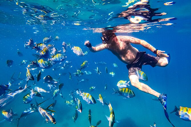 Luxury Yacht & Snorkel with All inclusive Open bar and lunch - Who should book this catamaran outing?