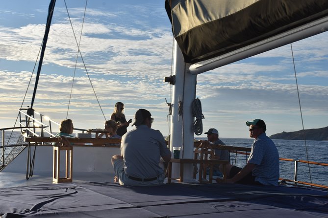 Luxury Yacht Snorkeling & Lunch Cruise from Cabo San Lucas - How luxurious is the yacht?