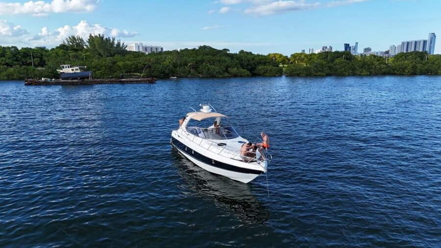 Miami: Private Yacht for up to 12 People - Looking for dolphins and seabirds