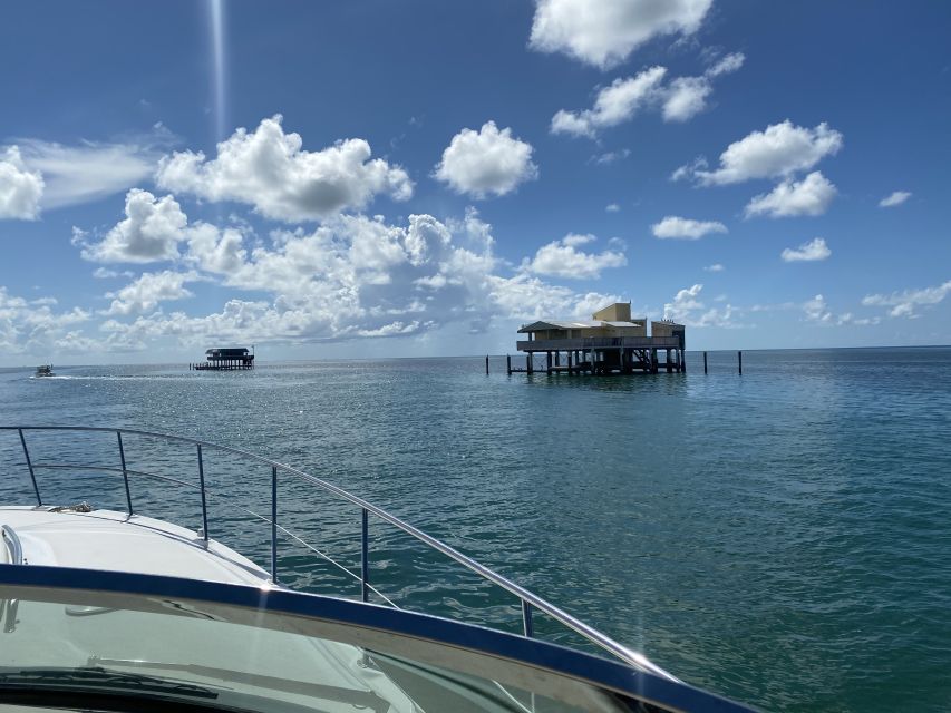 Miami: Private Yacht Rental Tour with Dolphins and Snorkel - Setting Out From 10800 Collins Avenue