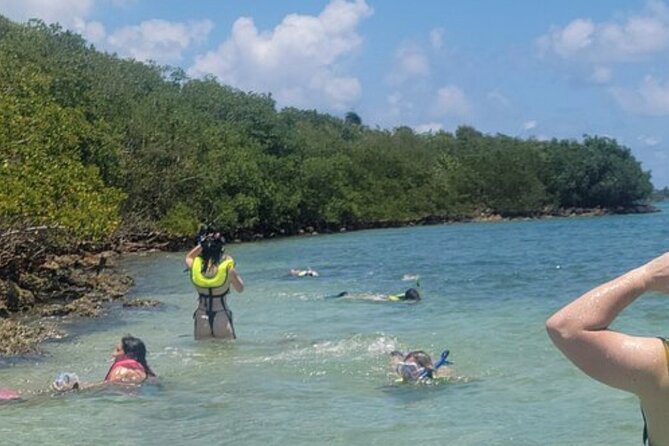 Miami: Snorkeling Adventure in Miami for Beginners Private Yacht - Brickell Avenue Bridge and the Miami skyline