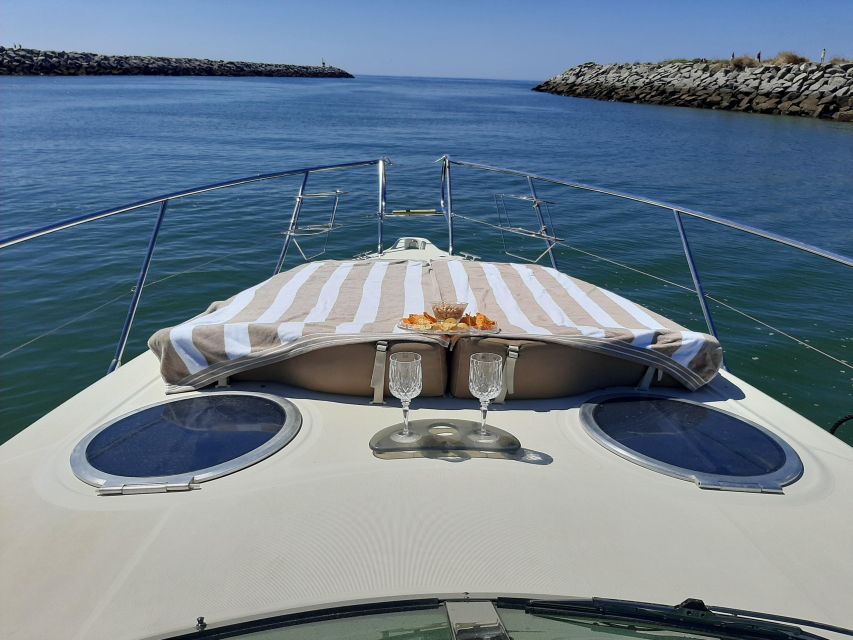 Morning/Afternoon Luxury Yacht Cruise with Drinks and Snacks - Dolphins are a bonus, not the main plan