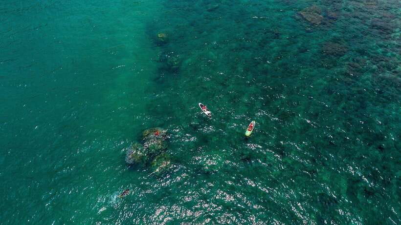 Nha Trang: VIP YACHT TOUR ( BBQ, Water activities) - Drinks, tropical fruit, and the BBQ choice