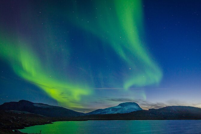 Northern Lights Yacht Cruise in Reykjavik - Faxaflói Bay and the chance of wildlife