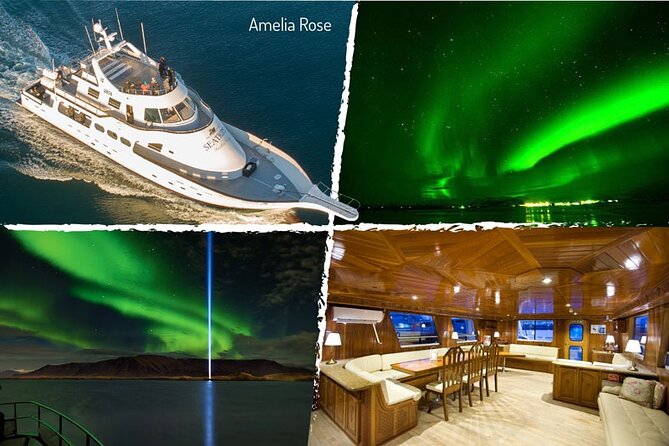 Northern Lights Yacht Cruise in Reykjavik - Taking photographs from a moving boat