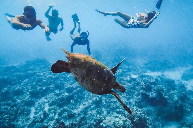 Oahu Small Group Snorkel Tour with Yacht Cruise - Is the $338.31 price worth it?