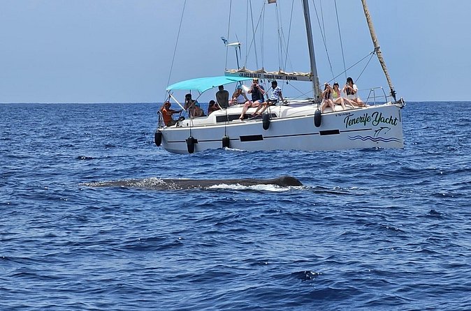 Ocean Pack Tenerife Jet Ski and Yacht Whale Watching - Guides who keep the day personal