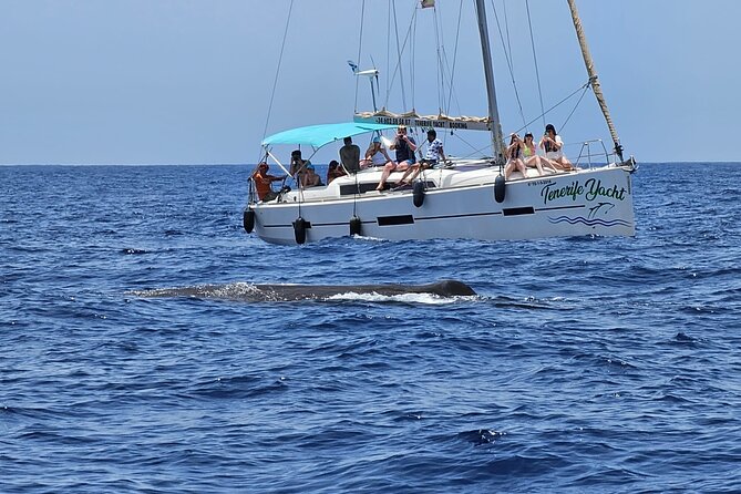 Ocean Pack Tenerife Jet Ski and Yacht Whale Watching - Who will enjoy this most?