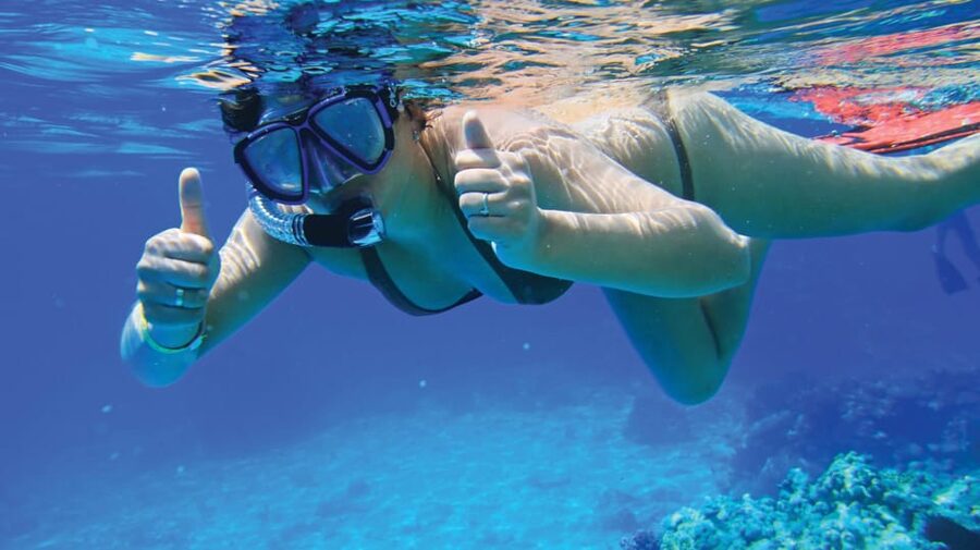 Palma de Mallorca: Private Yacht Trip with Drinks - Swimming at a quieter coastal stop
