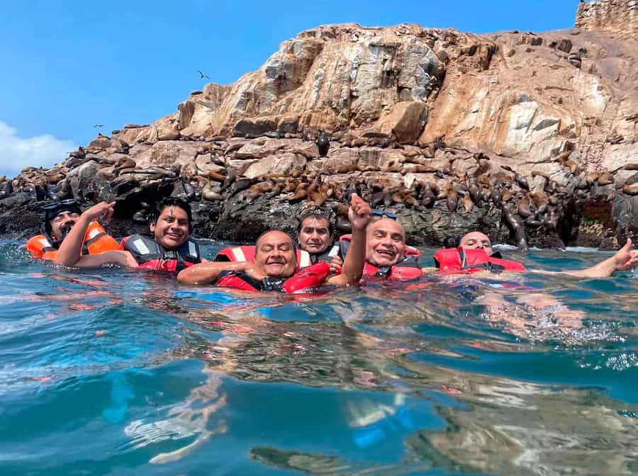 Palomino Islands Yacht Tour and swim alongside the sea lions - Why the Palomino Islands swim is the main event