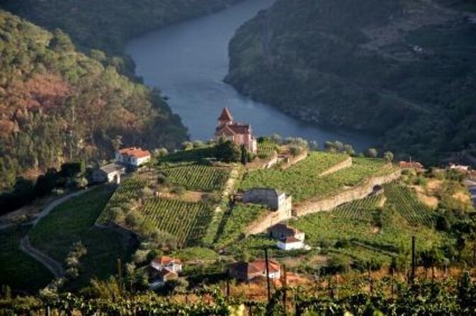 Porto: Luxury Yacht Cruise on the Douro River and Estuary Reserve - Key points to know before you book