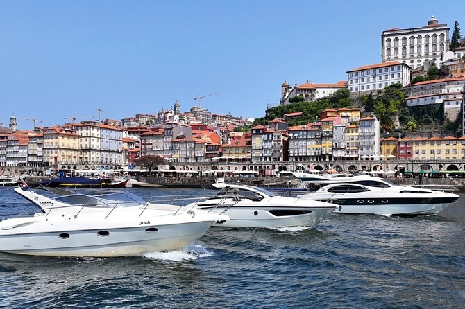 Porto: Luxury Yacht Cruise with Wine Tasting & Snacks - Who will enjoy this Douro cruise most?