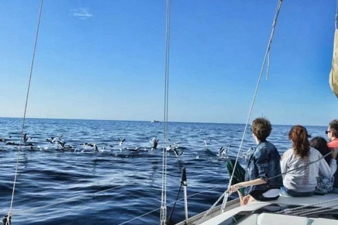 Premium Yacht Private Charter - Relaxing aboard with drinks and snacks