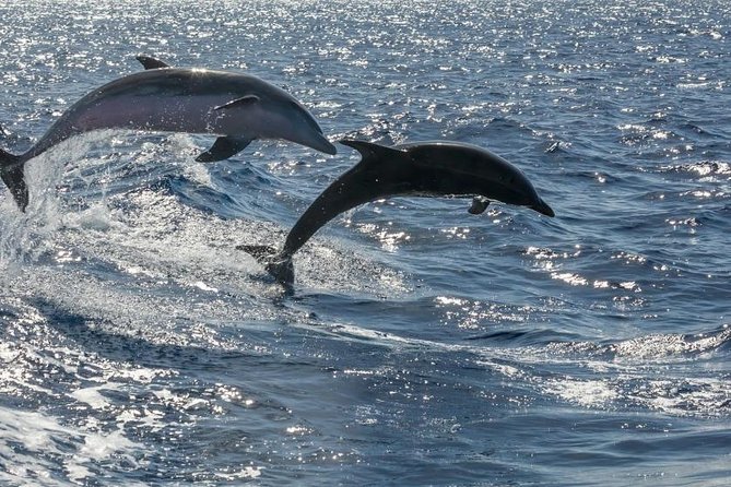 Premium Yacht Private Charter - Who gets the best value from this charter