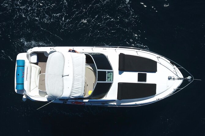 Private 3hr Yacht Cruise in Cabo San Lucas all included - Who will get the most from this experience