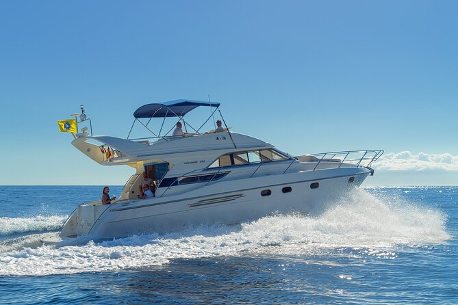 Private Boat Tour on Royal Ocean Yacht, Tenerife - Drinks, fruit, and snacks on the way to Los Cristianos