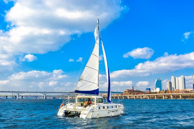 Private Catamaran Yacht Tour in Han River - Should you book the Seoul Marina catamaran?