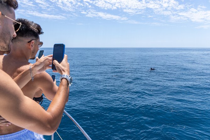 Private Coastline and Dolphins Yacht Cruise from Albufeira - A private start from Albufeira Marina