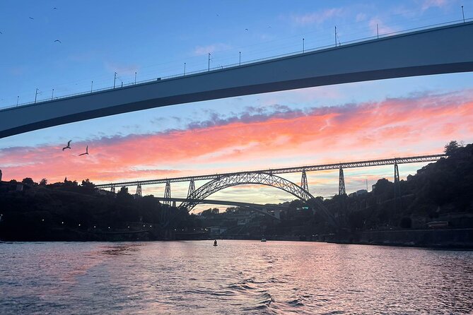 Private experience in the Douro (1 to 10 people) on a yacht just for you - A private view of Porto from Marina do Freixo