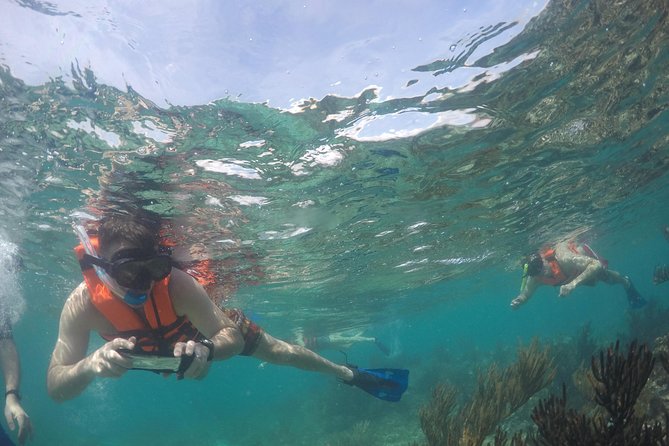 Private Fishing Tour in Yacht Playa del Carmen - Snorkeling gives nonfishers something to do