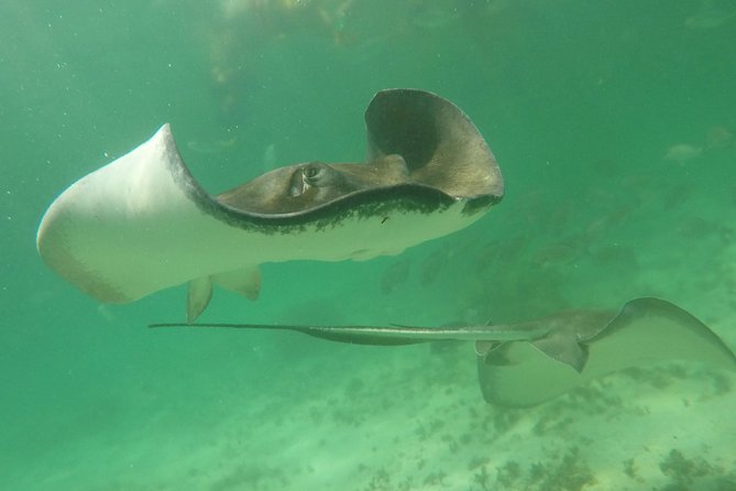 Private Fishing Tour in Yacht Playa del Carmen - What to pack for four hours on the water