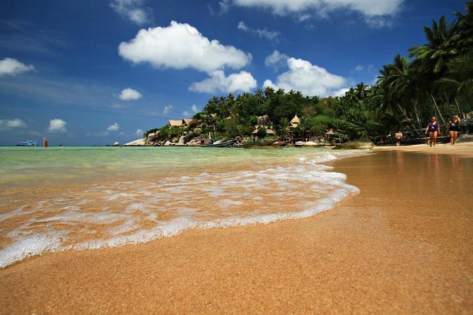 Private Full-Day Blue Dragon Yacht for Snorkeling Koh Tan & Visit Pink Dolphin - Key Points Before You Book