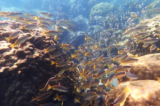 Private Full-Day Blue Dragon Yacht to Angthong National Marine Park - Ko Wao Yai is the day’s main snorkeling stop