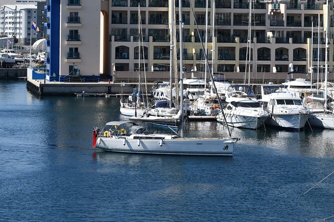 Private Full-day Sailing Cruise from Gibraltar by Yacht - Watching for dolphins across Gibraltar Bay