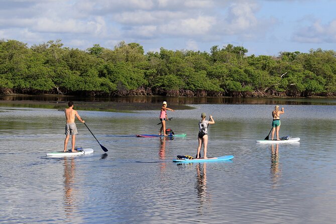 Private PADDLE-BOARD and YACHT Adventure - Capacity, weather, and booking details worth checking