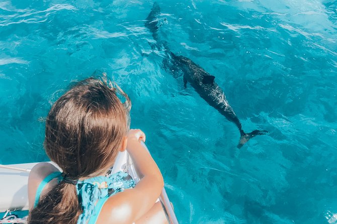 Private Snorkel Trip from Oahu on a Yacht - Who will enjoy this private charter most